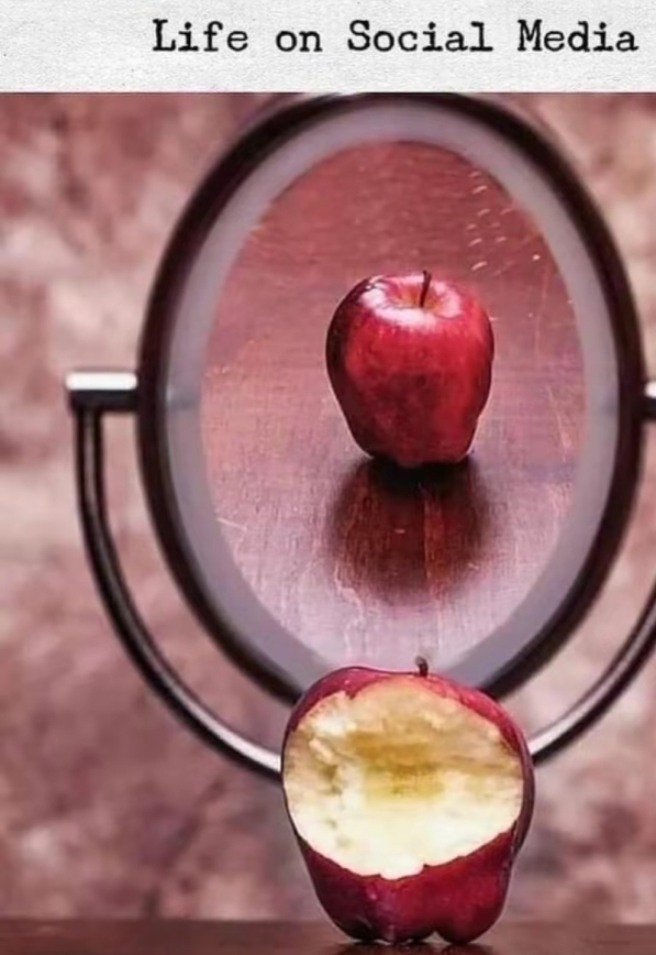 Post image for THE BITTEN APPLE 🍎 