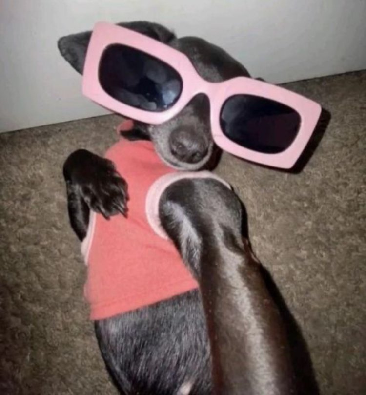 Post image for 🙂‍↕️❤️💅