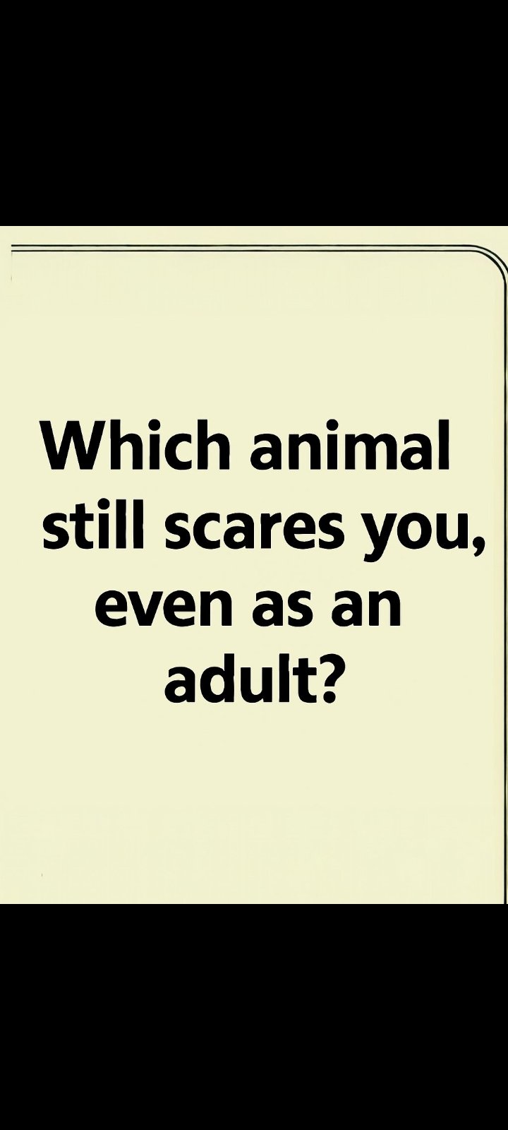 Post image for 🐀 A rat does