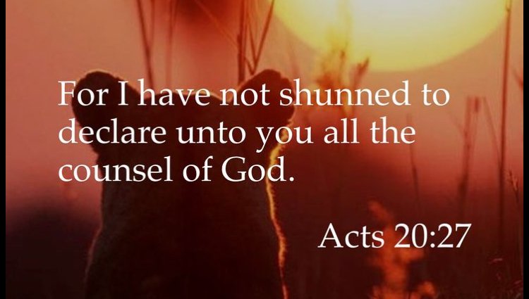 Post image for Selective Reading of the Bible