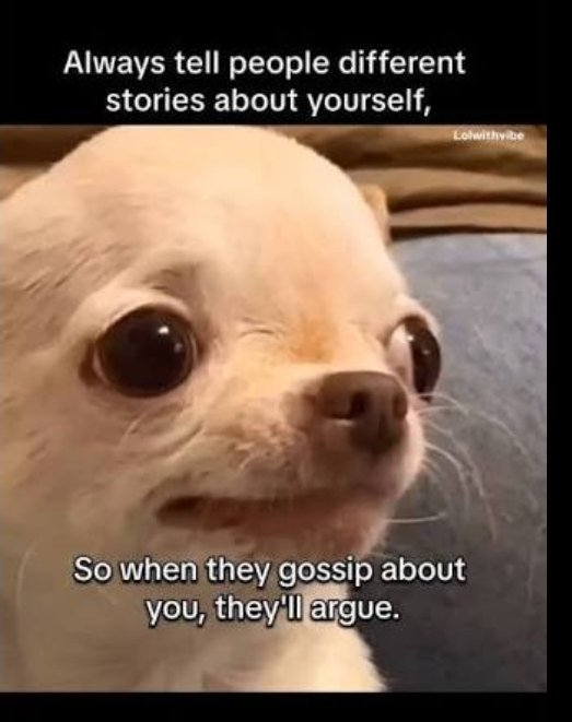 Image 2 for 🫩 That's it