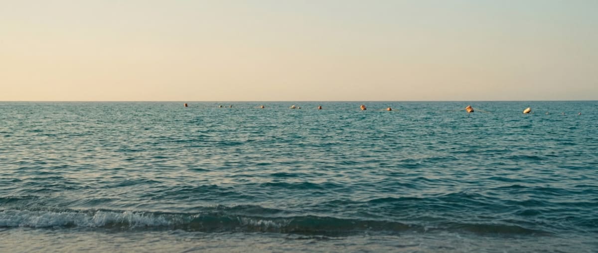 Saltline, still 7