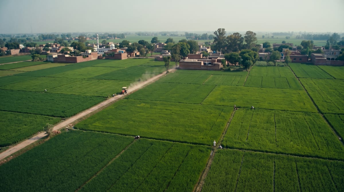 Agricultural TVC/DVC (Syngenta), still 1