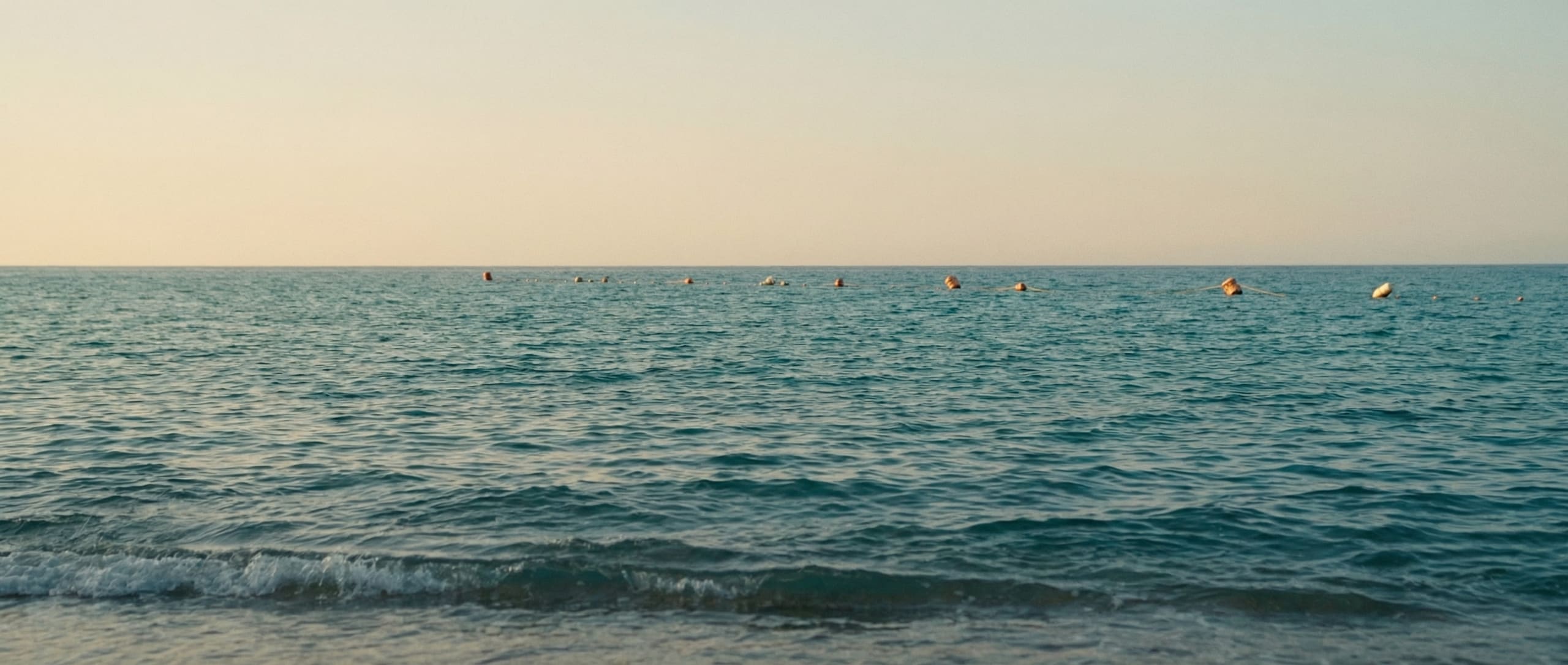 Saltline, image 8