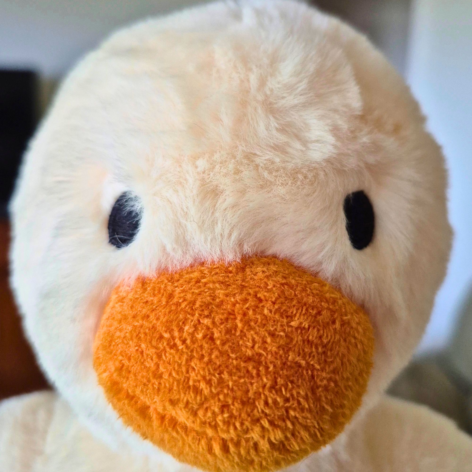 Pip the Duck