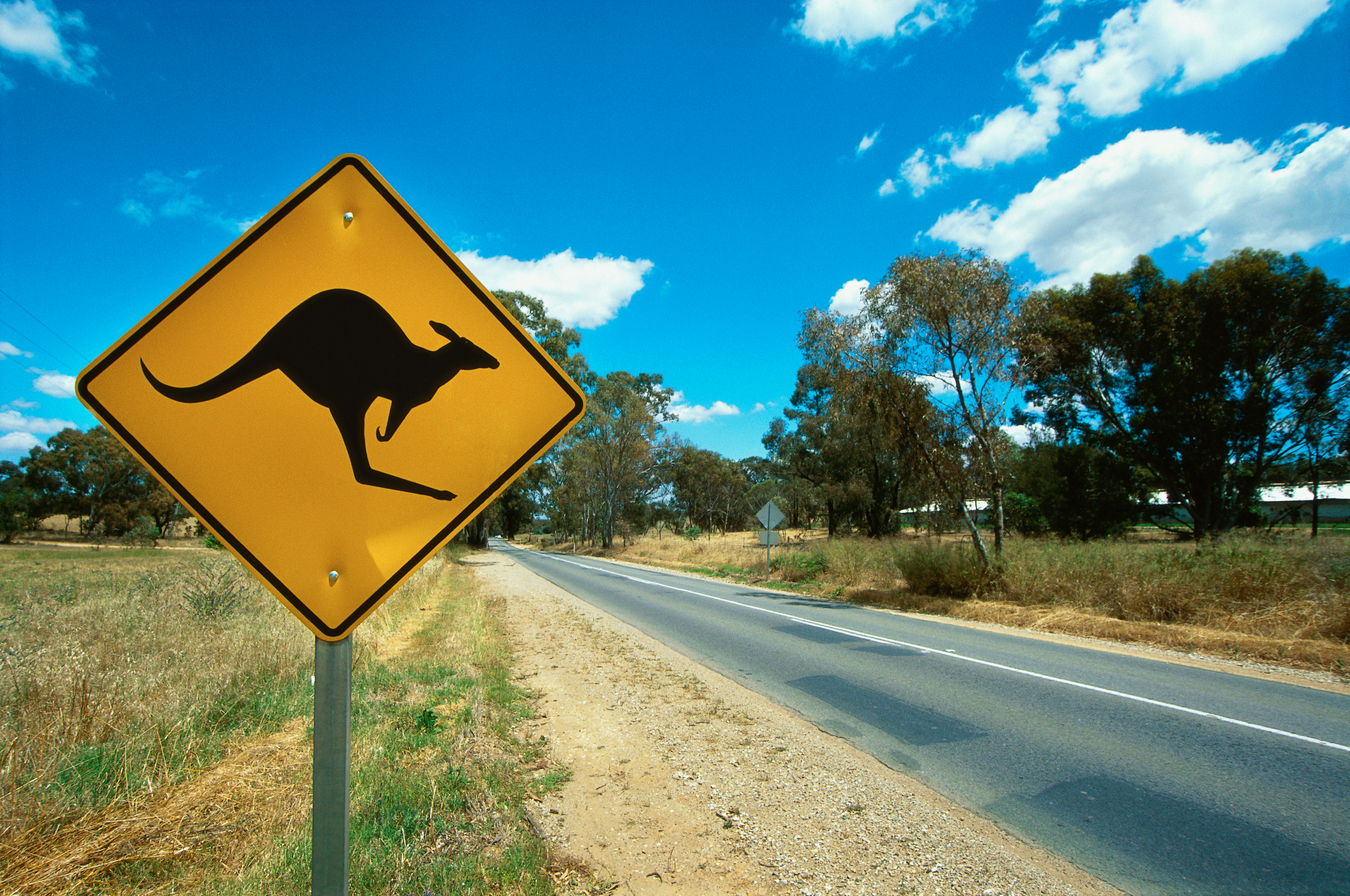 Driving lesson Adelaide south