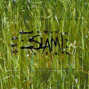 Long Hill Drive - slam!