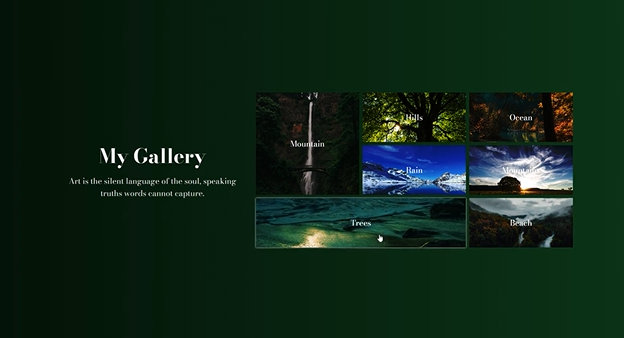 Gallery - CSS project: a stunning gallery!  | Nishant Singh