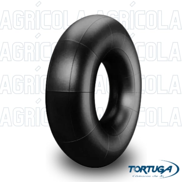 zot4fh68xr84kdl2uneg.jpg