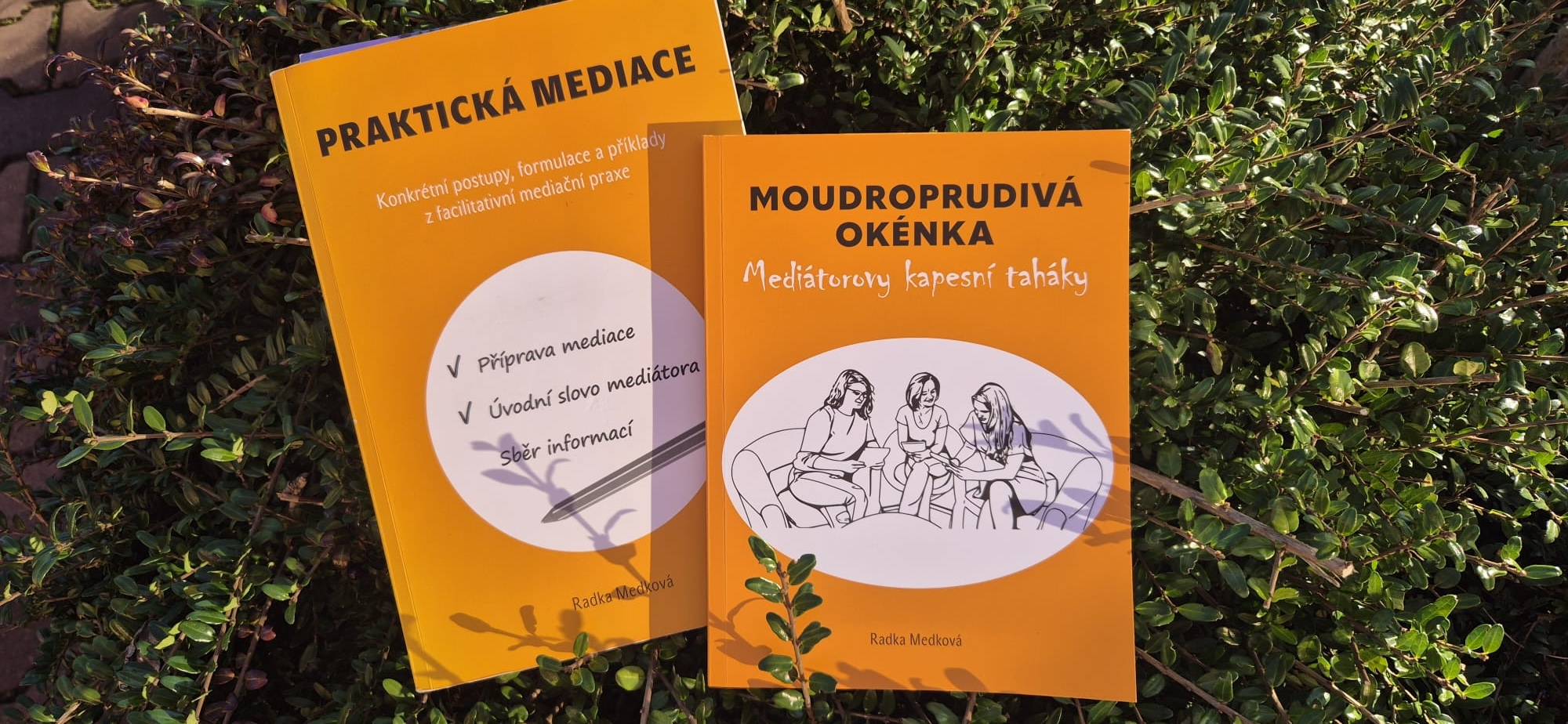Knihy Praktická mediace a Moudroprudivá okénka