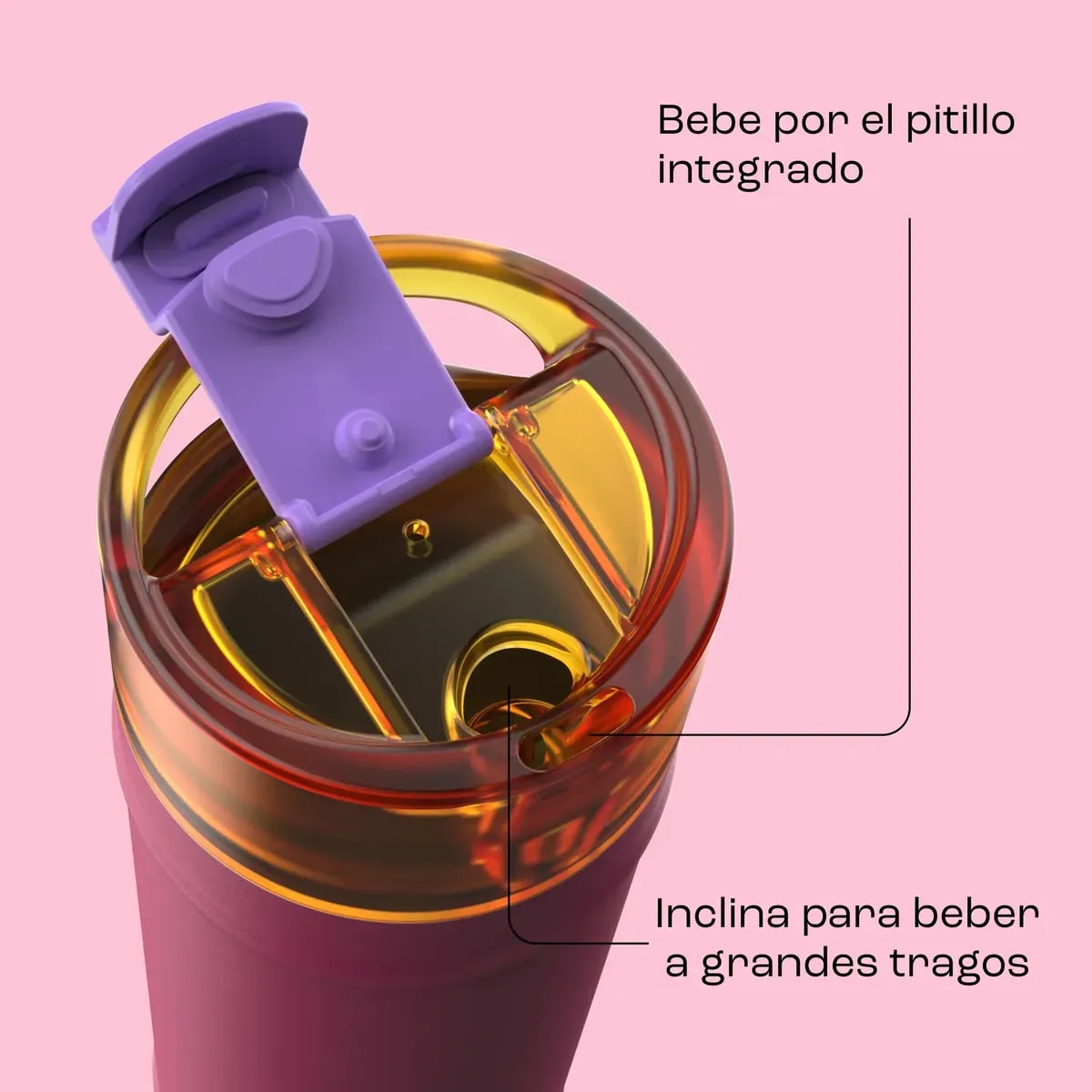 Imagen 3 de BOTELLA TERMICA DUAL SIP