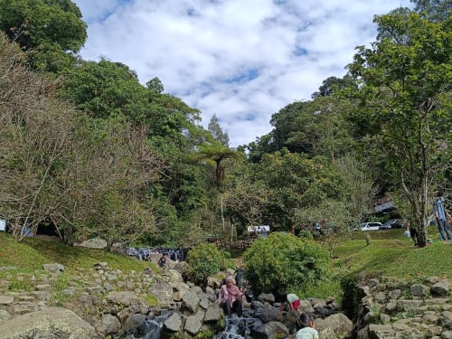 Foto Kebun Raya Cibodas 2