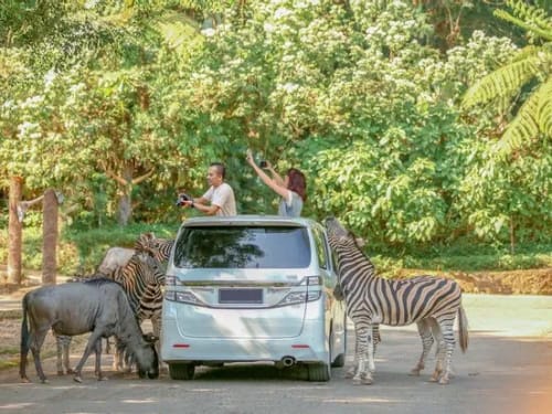 Foto Taman Safari Indonesia 1