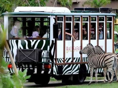Foto Taman Safari Indonesia 2