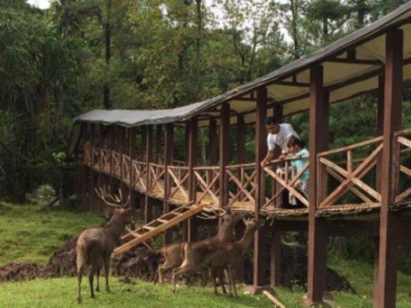 Foto Penangkaran Rusa Giri Jaya di Sukaresmi