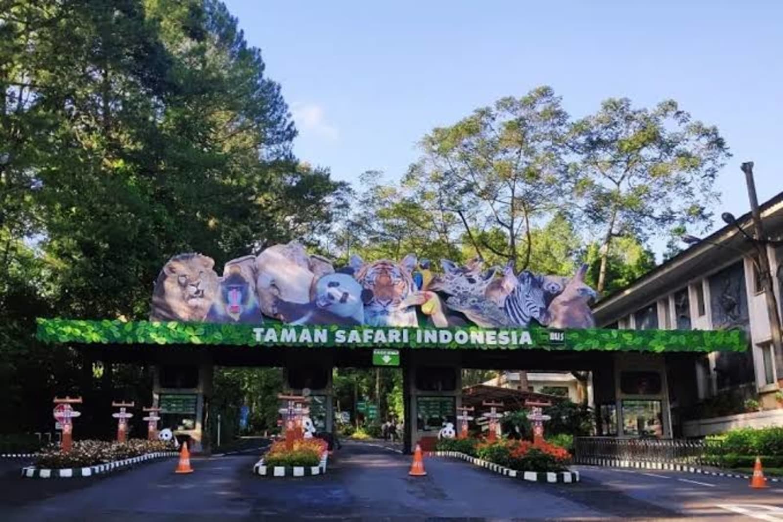 Harga Tiket Masuk Taman Safari Bogor (Puncak) 2026: Lengkap Jam Buka, Rute & Tips Anti Antre