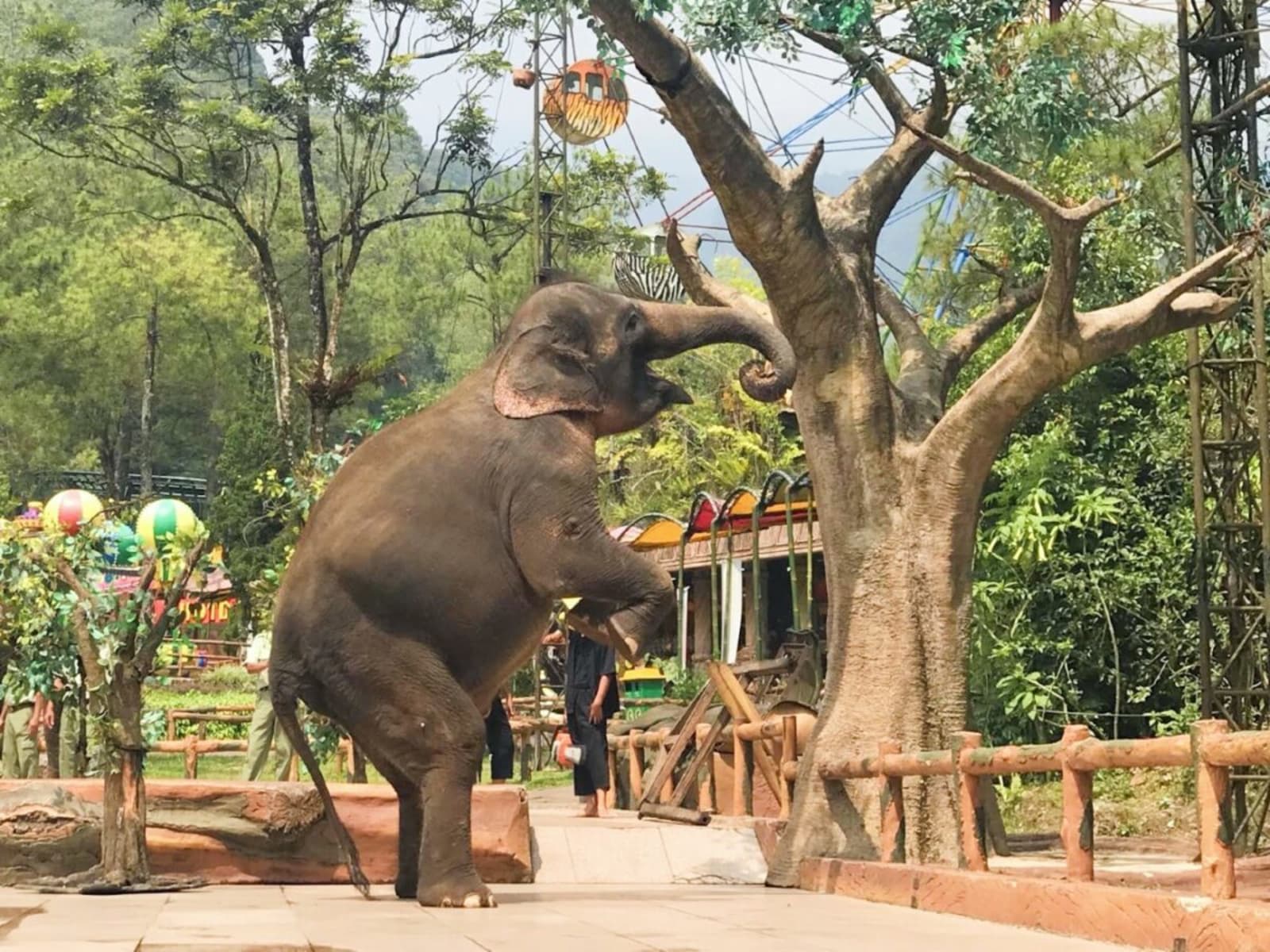 Taman Safari Indonesia