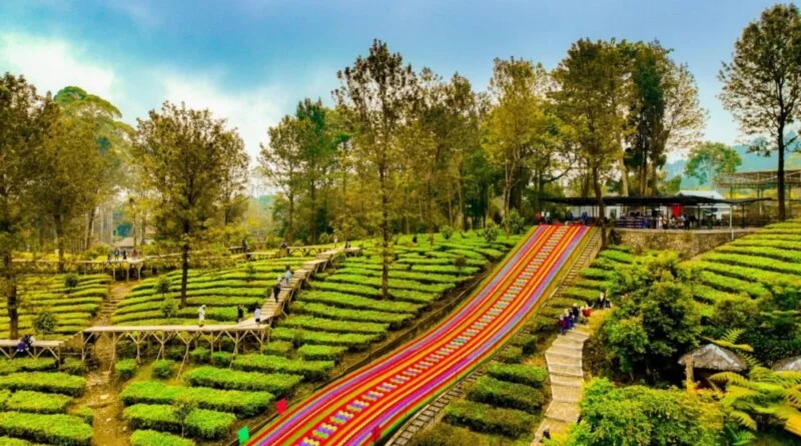 Foto Agrowisata Gunung Mas