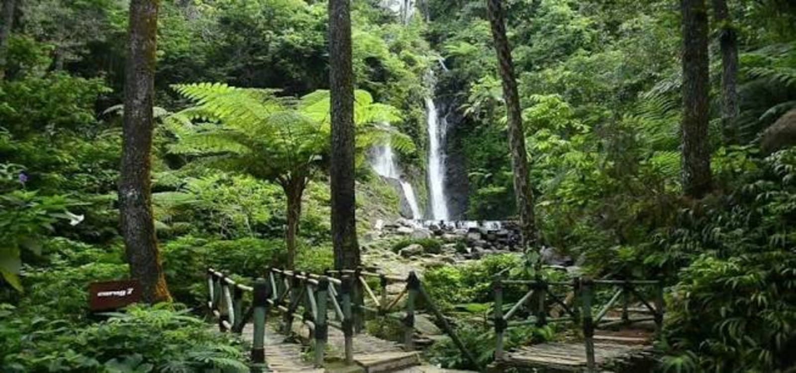 Curug Cilember: Tiket, Lokasi 7 Air Terjun, dan Tips ke Sana