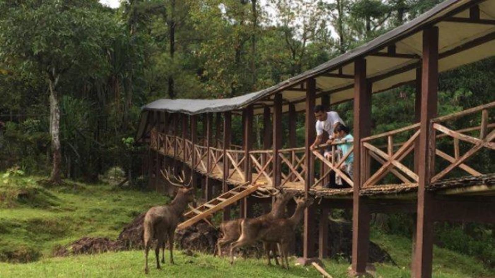 Penangkaran Rusa Giri Jaya