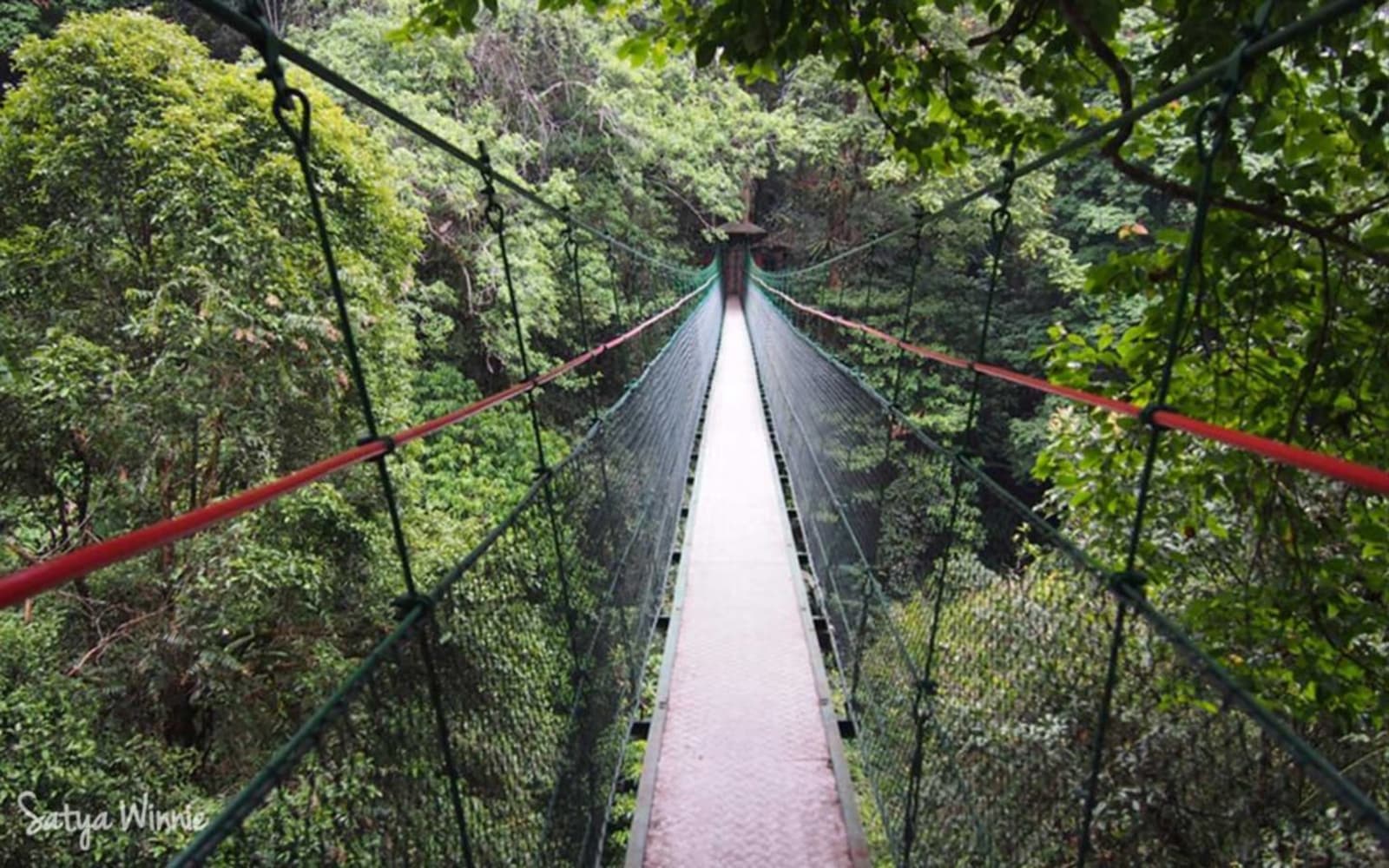Foto Canopy Trail Ciwalen (TNGGP)