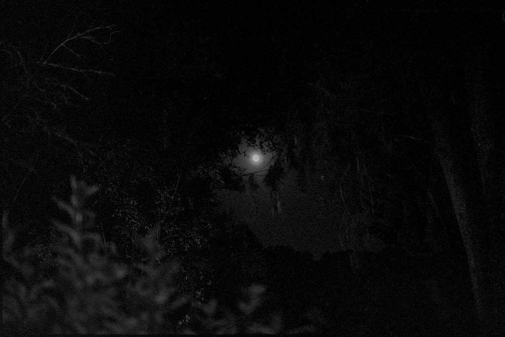 Darkness Rises — frame 3