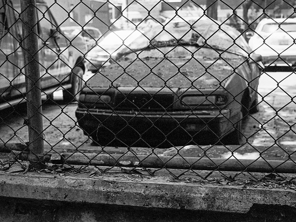 Decay — frame 4