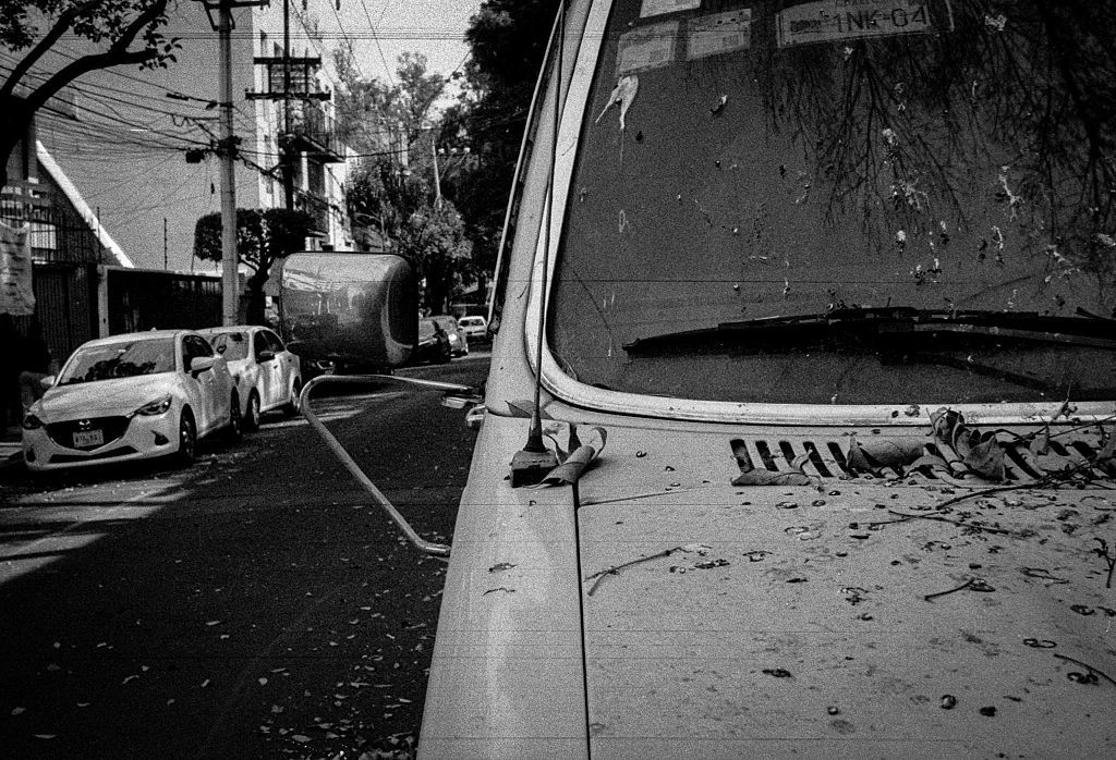 Decay — frame 10