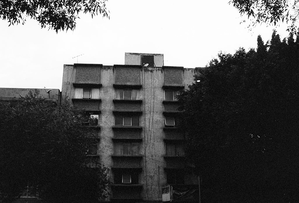 Decay — frame 11