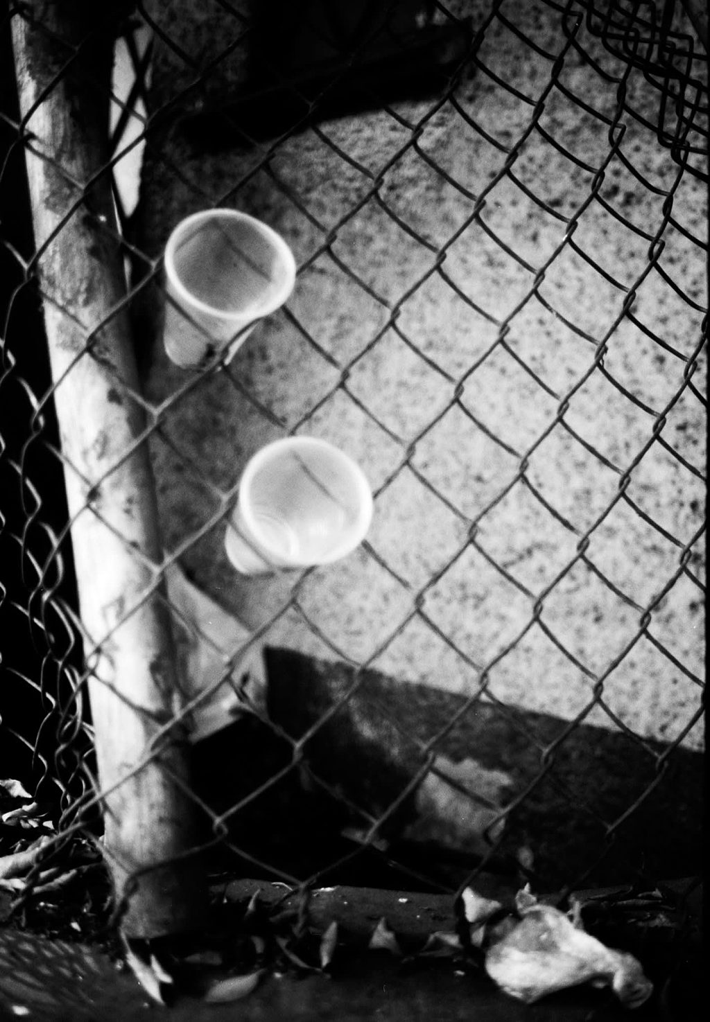 Decay — frame 12