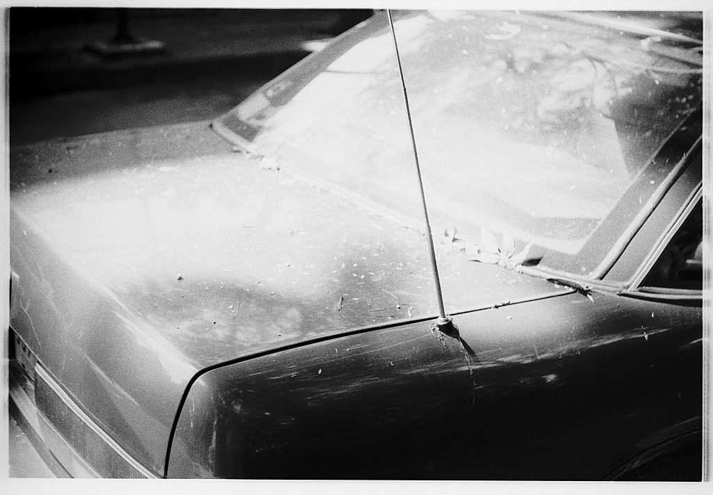 Decay — frame 15