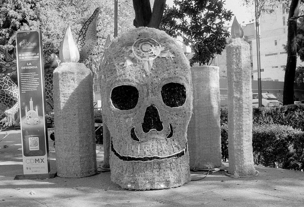 Celebrating Life and Death - Día de Muertos — frame 16