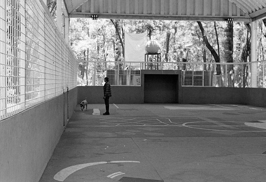 Street Action Vol. 1 — frame 7