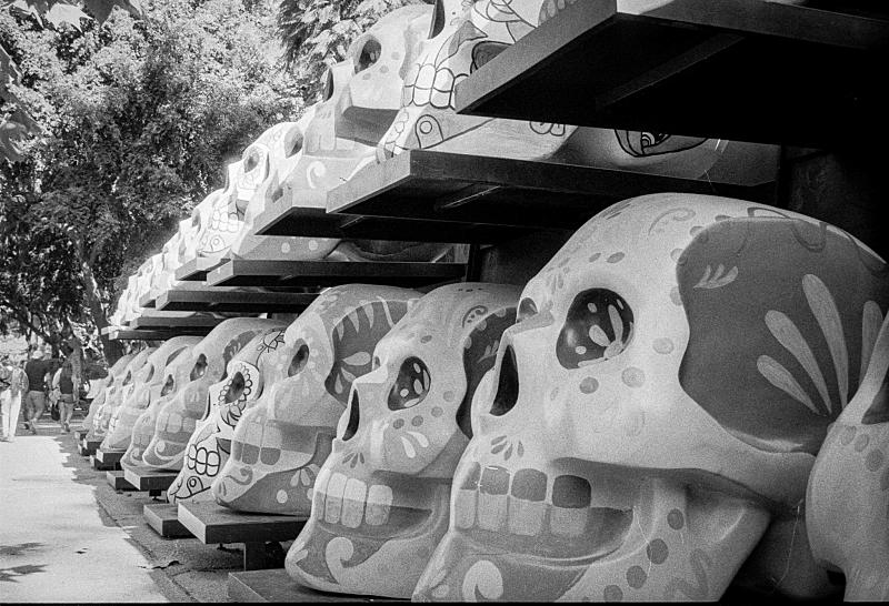 Celebrating Life and Death - Día de Muertos