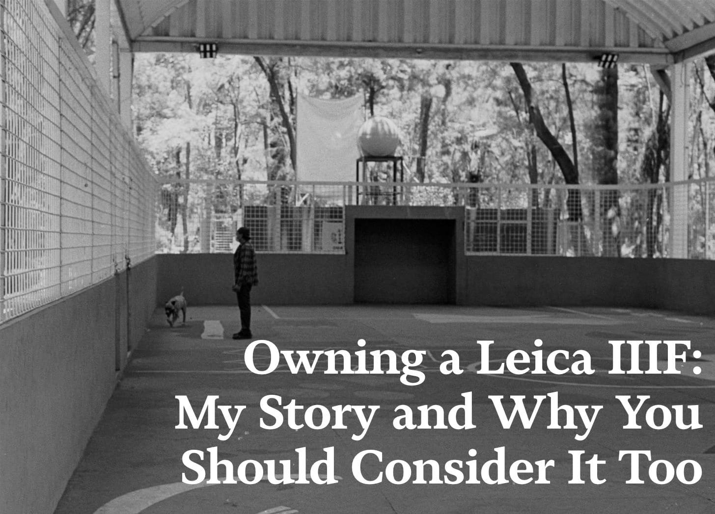 Owning a Leica IIIF: My Story and Why You Should Consider It Too