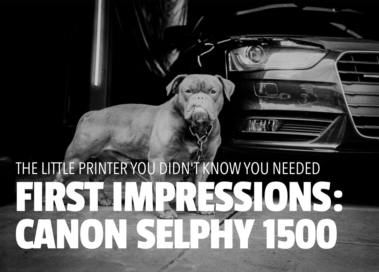 First Impressions: Canon Selphy CP 1500