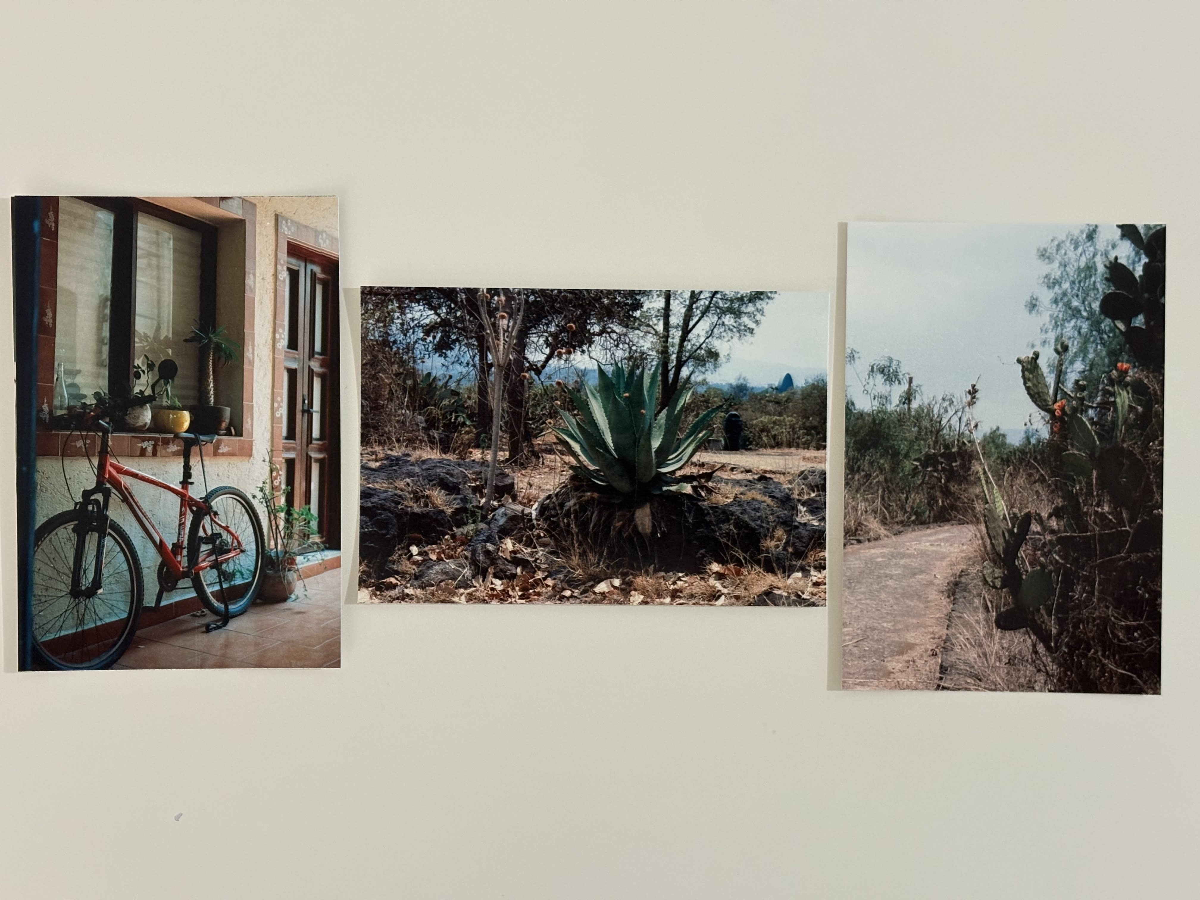 Color didn’t dissapoint. They were pretty accurate. This is a Fuji C400.