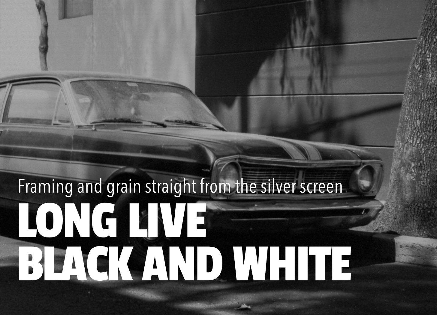 Long Live Black and White