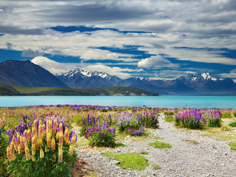 Travel Buddies New Zealand 24 Day Group Tour Happy Travels