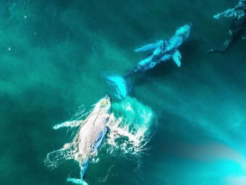 Island Expeditions Fraser Island Tour Day Night Book Now