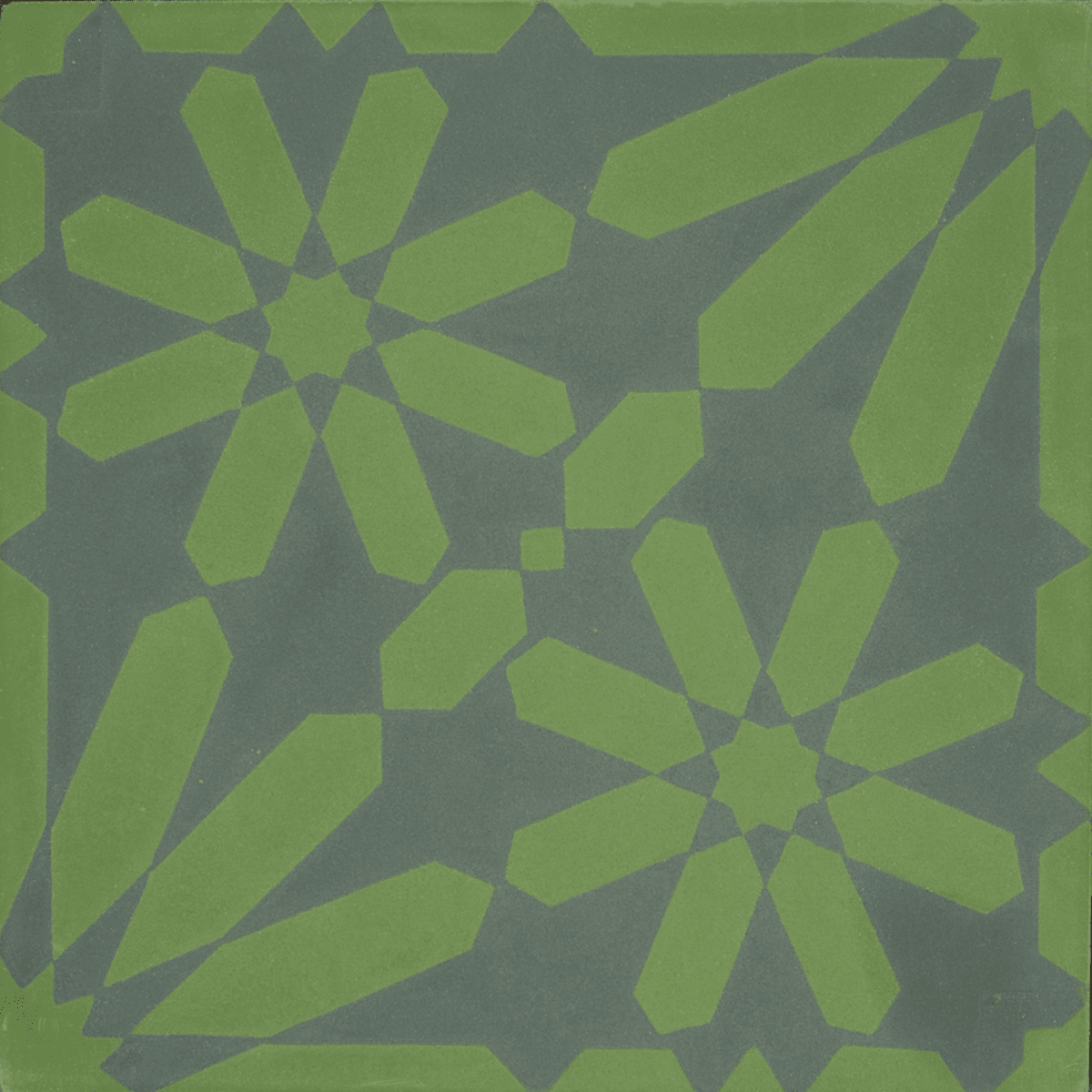 Flora S5.3