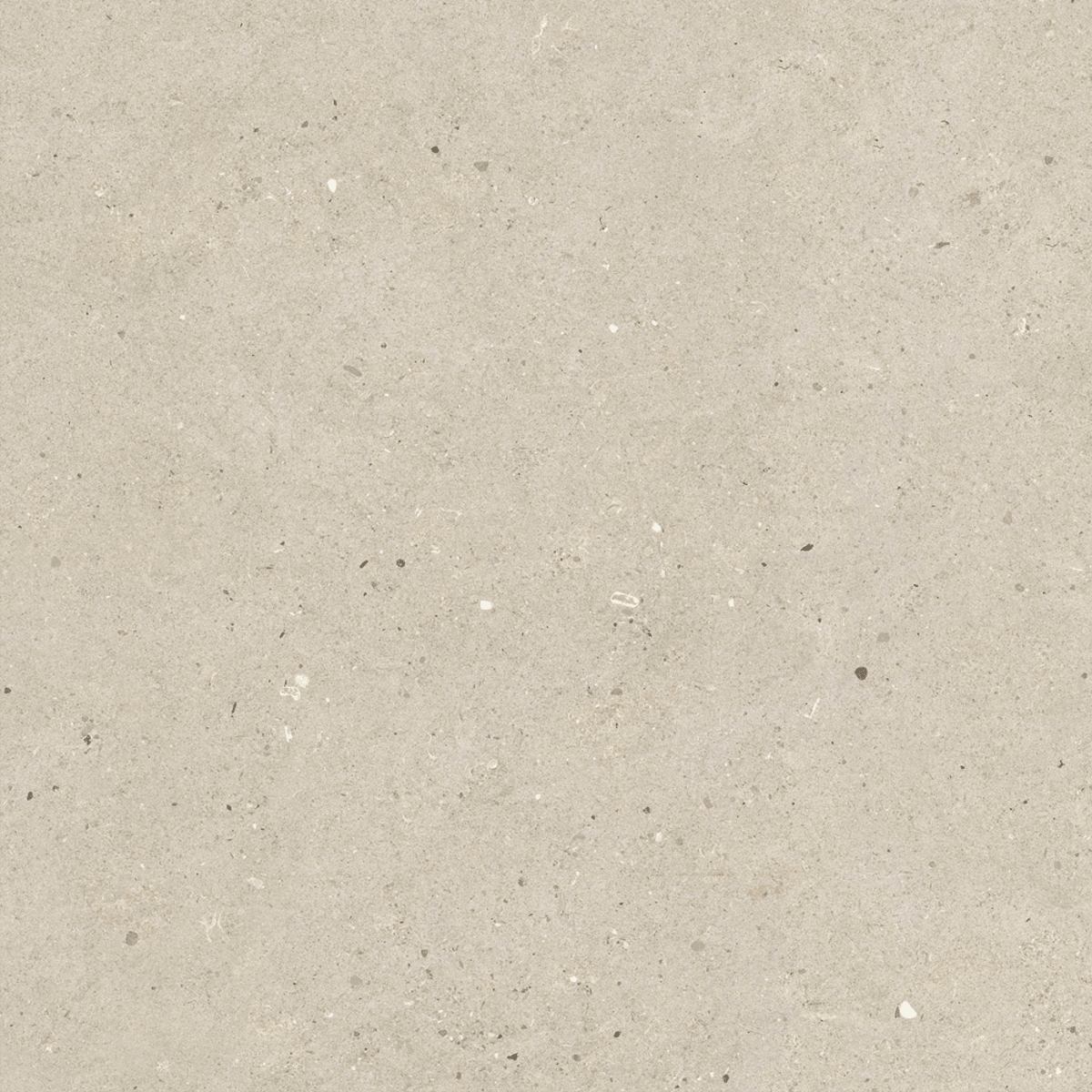 Fossil Beige