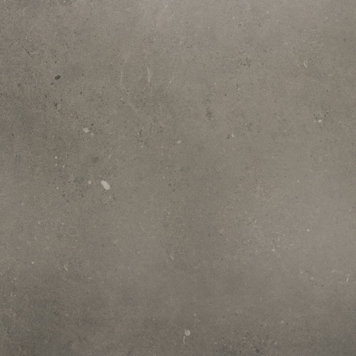 Fossil Dark