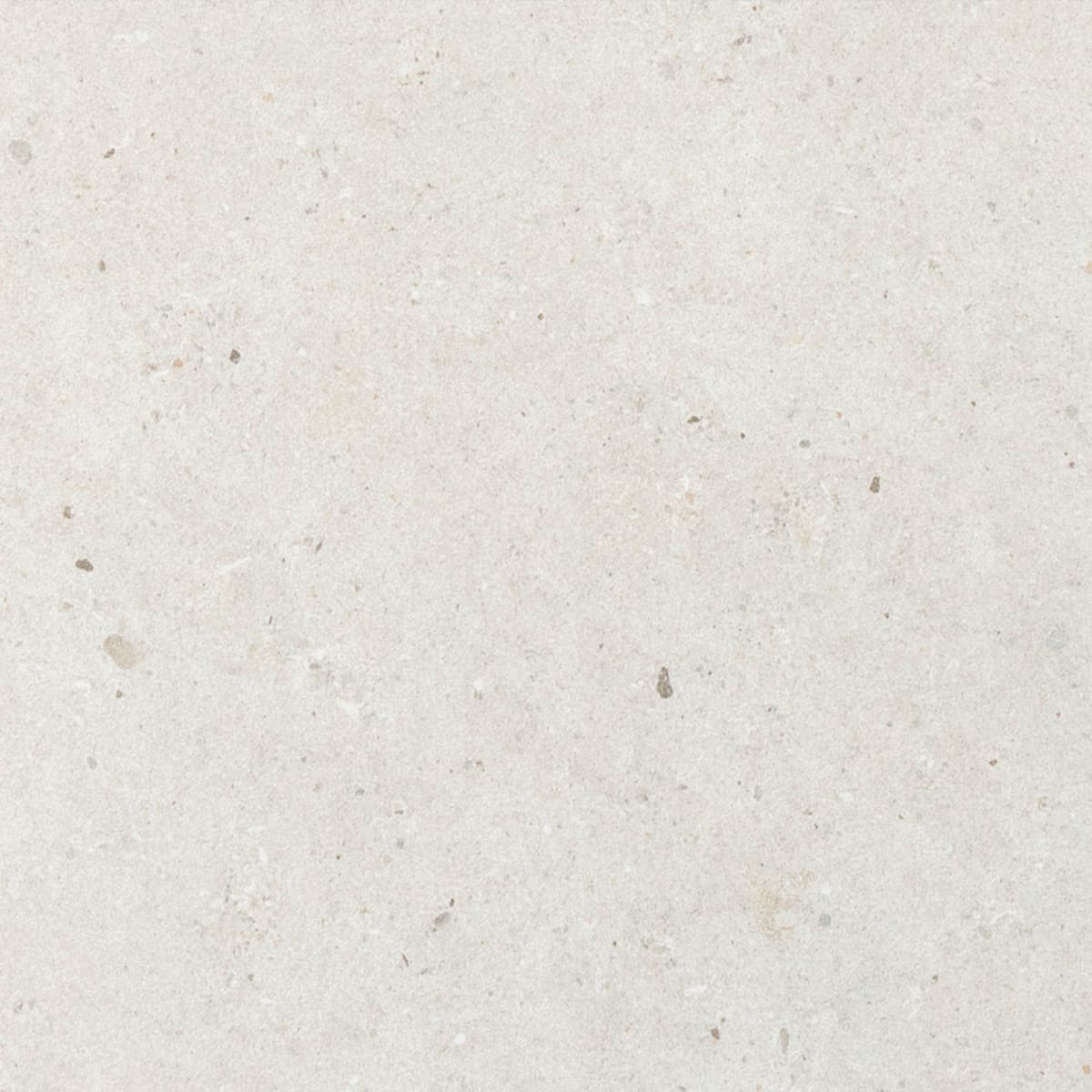 Fossil White