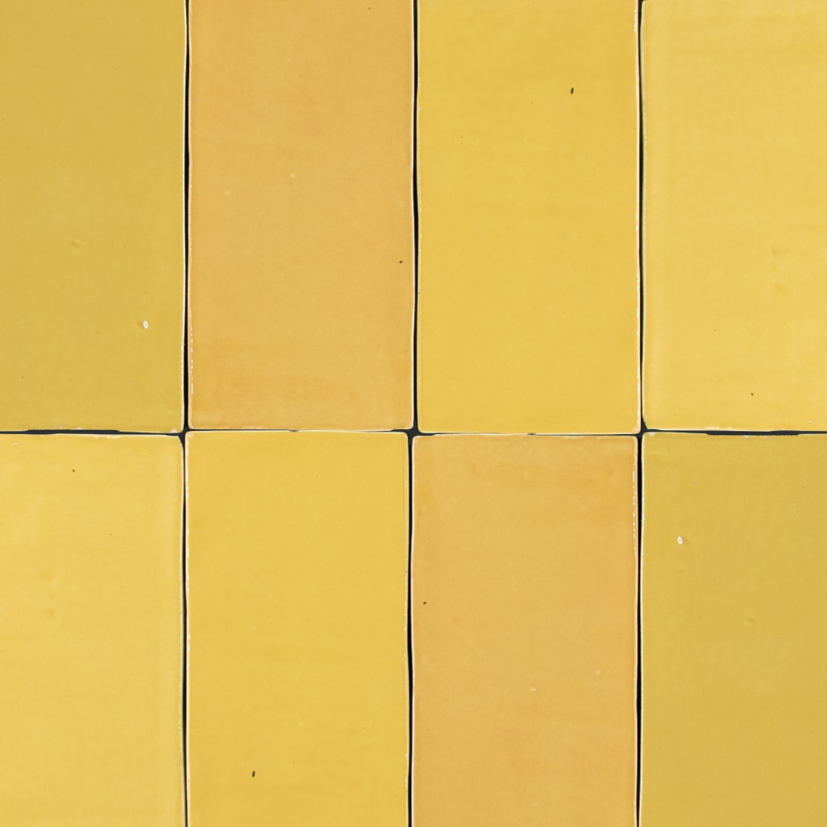 Pico Mustard Gloss