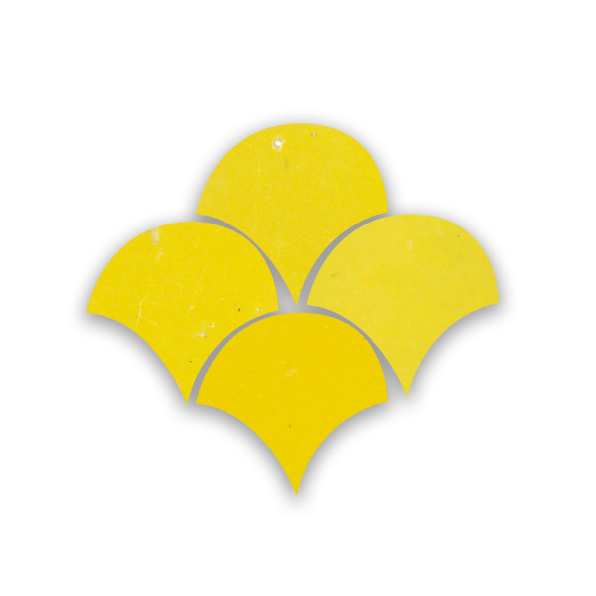 Zellige Citron Poisson Echelles
