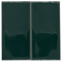 Esmalte Cocodrilo
