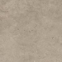 Fossil Taupe