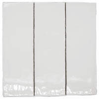 Ibiza Blanco