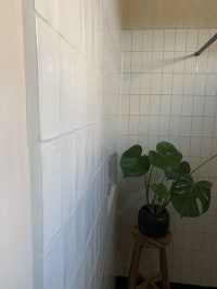Manual Blanco